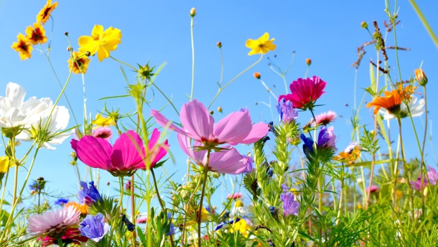 20250324-104759.jpeg 20250324-104759.jpeg